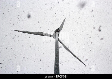 Swaftham, Norfolk, Royaume-Uni. Jan 31, 2015. Éolienne dans la neige 31 Apr 2015 3pm, Swaffham Norfolk. Crédit : Jason Marsh/Alamy Live News Banque D'Images