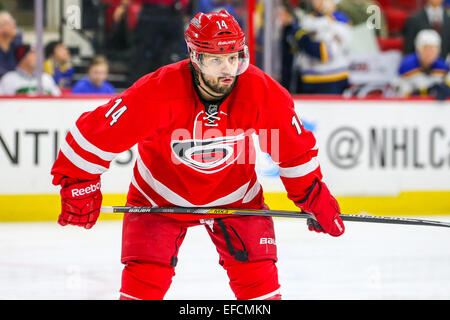Raleigh, Caroline du Nord, USA. 30Th Jan, 2015. Les Hurricanes de la Caroline de l'aile gauche Nathan Gerbe (14) au cours de la partie de la LNH entre le St Louis Blues et les Hurricanes de la Caroline au PNC Arena. Le St Louis Blues a défait les Hurricanes de la Caroline 3-2 en prolongation. Credit : Andy Martin Jr./ZUMA/Alamy Fil Live News Banque D'Images