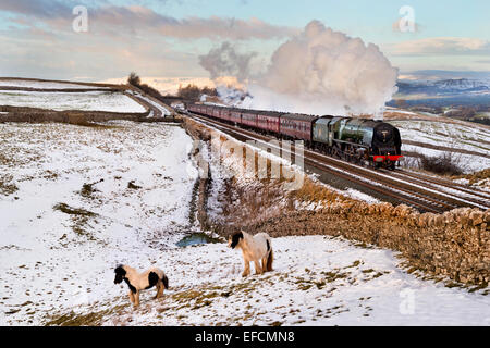 Kirkby Stephen, Cumbria, Royaume-Uni. Jan 31, 2015. La duchesse de Sutherland locomotive à vapeur tire un hiver spéciale Cumbian Mountain Express sur un paysage de neige, en direction du sud de Carlisle Banque D'Images