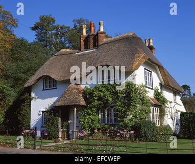 Gîte à Swan Green, Lyndhurst, New Forest, Hampshire, Angleterre, Royaume-Uni Banque D'Images