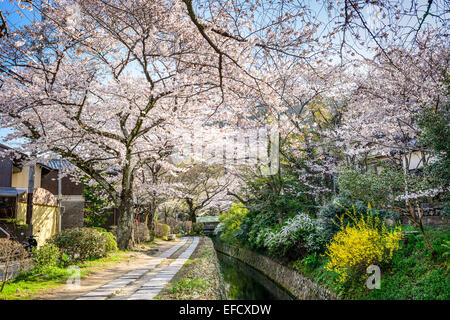 Kyoto, Japon à Promenade du Philosophe dans la saison du printemps. Banque D'Images