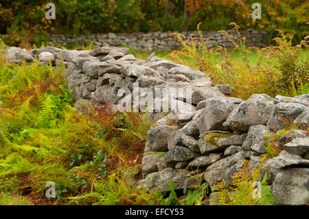 Rockwall, Nathan Hale Homestead, Florida Banque D'Images