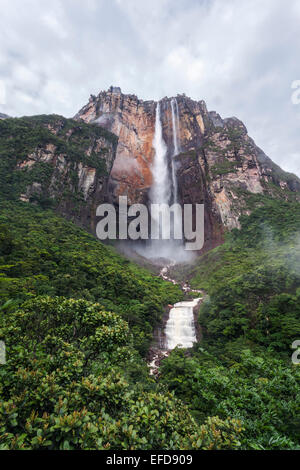 Angel Falls, au Venezuela. Banque D'Images