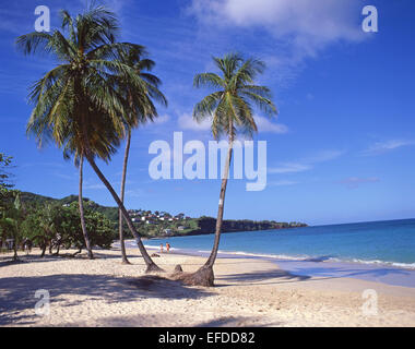 Tropical Beach, la baie de Grand'Anse, paroisse de Saint George, la Grenade, Lesser Antilles, Caribbean Banque D'Images