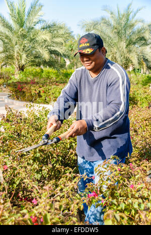 Un jardinier supprime les arbustes dans le jardin de l'hôtel Emirates Palace, Abu Dhabi. Banque D'Images