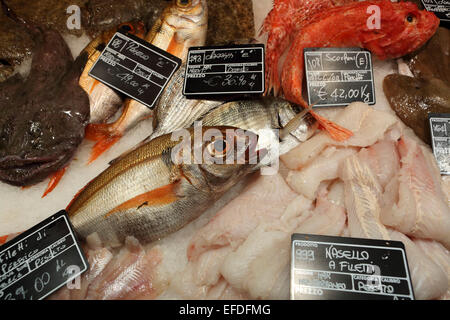 Du poisson pour la vente dans le magasin concept alimentaire Eataly à Milan, Italie. Banque D'Images