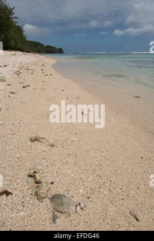 Polynésie Française, îles australes (aka le Tuha'a PAE), Tupua'i Îles, île de Rurutu. Vue sur la plage. Banque D'Images