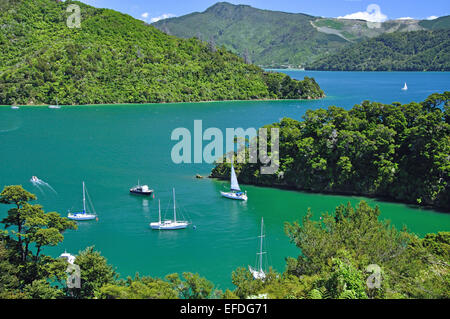 Whenuanui Bay de la Queen Charlotte Drive, Queen Charlotte Sound, Marlborough Sounds, Marlborough, île du Sud, Nouvelle-Zélande Banque D'Images