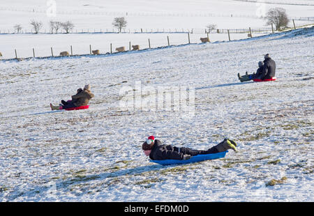 Lake District, Cumbria, Royaume-Uni. 1er février 2015. Météo France : Après la récente chute de neige, sur une journée ensoleillée mais très froid, une famille bénéficie de la luge sur les collines près de Caldbeck, Lake District, Cumbria, Angleterre, Royaume-Uni. Credit : Julie friteuse/Alamy Live News Banque D'Images