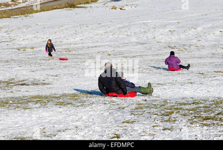 Lake District, Cumbria, Royaume-Uni. 1er février 2015. Météo France : Après la récente chute de neige, sur une journée ensoleillée mais très froid, les familles profitent de la luge sur les collines près de Caldbeck, Lake District, Cumbria, Angleterre, Royaume-Uni. Credit : Julie friteuse/Alamy Live News Banque D'Images