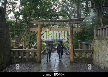 Torii menant à la tombe de Tokugawa Ieyasu, Kunozan Tosho-go-Sanctuaire Shinto Shizuoka, Japon Banque D'Images