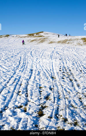 Lake District, Cumbria, Royaume-Uni. 1er février 2015. Météo France : Après la récente chute de neige, sur une journée ensoleillée mais très froid, une colline est défoncée avec pistes de luge en famille Profitez d'un après-midi de luge. Le nord de la lande, près de Caldbeck, Lake District, Cumbria, Angleterre, Royaume-Uni. Credit : Julie friteuse/Alamy Live News Banque D'Images