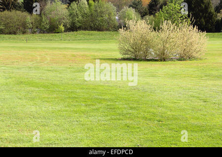 Beau paysage français avec terrain de golf au printemps Banque D'Images