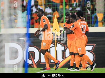 Malabo, Guinée équatoriale. 1er février, 2015. Les joueurs de la Côte d'Ivoire célèbrent pendant un match de quart de finale de la coupe d'Afrique des nations contre l'Algérie à Malabo, en Guinée équatoriale, le 1 février 2015. Côte d'Ivoire a gagné 3-1. Credit : Meng Chenguang/Xinhua/Alamy Live News Banque D'Images