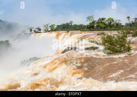 Merveilles naturelles : vue sur les magnifiques chutes d'Iguaçu énorme en plein essor, vu du côté argentin sur une journée ensoleillée avec ciel bleu Banque D'Images