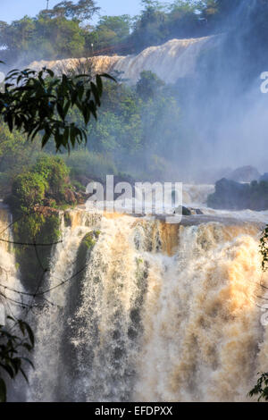 Merveilles naturelles : vue sur les magnifiques chutes d'Iguaçu énorme en plein essor, vu du côté argentin sur une journée ensoleillée avec ciel bleu Banque D'Images