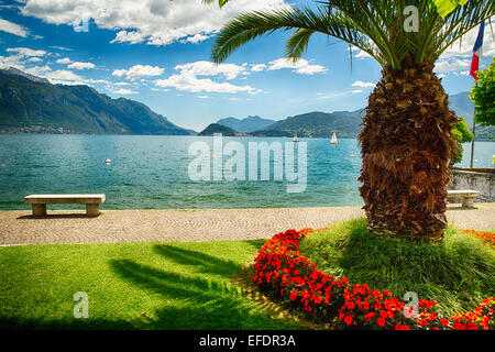 Vue panoramique sur le lac de Côme à partir d'un parc, majeur, Lac de Côme, Lombardie, Italie Banque D'Images