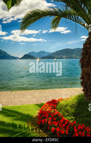 Iew du Lac de Côme à partir d'un parc, majeur, Lac de Côme, Lombardie, Italie Banque D'Images