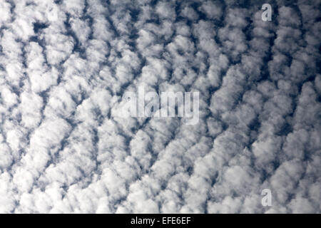 Ciel bleu et beaucoup de petits nuages blancs, peut être utilisé comme arrière-plan Banque D'Images