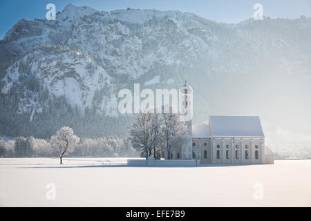 Saint Coloman d'arbres en hiver paysage, Alpes, Allemagne Banque D'Images