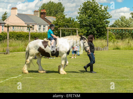 Jeune fille assise sur un cheval Essex England UK Banque D'Images