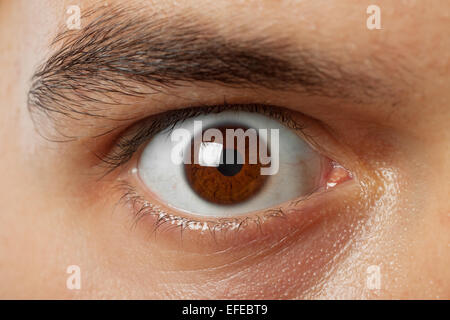Close-up shot of young man brown eye Banque D'Images