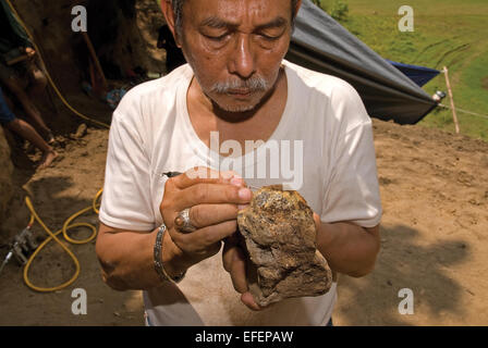 Fachroel Aziz, professeur de recherche en paléontologie des vertébrés, est photographié sur le site d'excavation d'Elephas hysudrindicus à Blora, en Indonésie. Banque D'Images