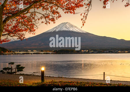 Mt. Fuji avec feuillage d'automne au lac Kawaguchi au Japon. Banque D'Images