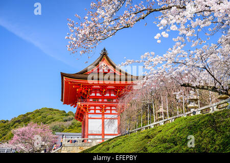 Kyoto, Japon, le Temple Kiyomizu-dera au printemps. Banque D'Images