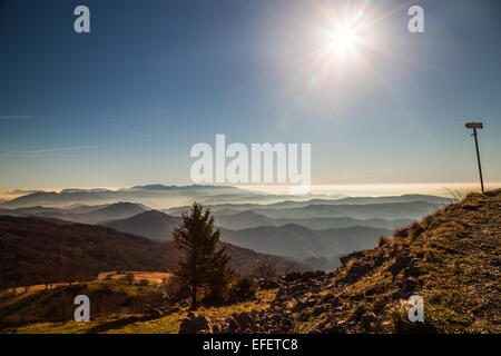 L'automne est à venir dans les Alpes italiennes Banque D'Images