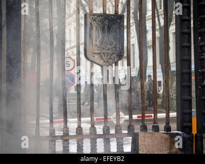 Kiev, Ukraine. 2 Février, 2015. Les flammes sont arrosés par les pompiers après les combattants du bataillon de volontaires ukrainiens Aydar, brûlent des pneus à l'entrée du ministère de la défense de l'Ukraine à Kiev. -- Des soldats du bataillon de volontaires 'Aydar' manifestation devant le ministre de la défense et brûler des pneus au cours d'une action en vue de prévenir l'éventuelle dissolution de leur bataillon. Crédit : Igor Golovnov/Alamy Live News Banque D'Images