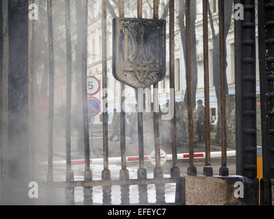 Les flammes sont arrosés par les pompiers après les combattants du bataillon de volontaires ukrainiens Aydar, brûlent des pneus à l'entrée du ministère de la défense de l'Ukraine à Kiev. 2e Février, 2015. -- Des soldats du bataillon de volontaires 'Aydar' manifestation devant le ministre de la défense et brûler des pneus au cours d'une action en vue de prévenir l'éventuelle dissolution de leur bataillon. © Igor Golovniov/ZUMA/Alamy Fil Live News Banque D'Images