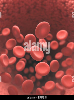 Les cellules rouges du sang dans les vaisseaux en mouvement avec la profondeur de champ. Banque D'Images