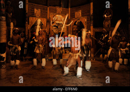 Personnes, culture, danseuse adulte, robe guerrière traditionnelle Zulu, groupe de danse culturelle, danse de guerre, village à thème, Shakaland, Afrique du Sud, hommes Banque D'Images