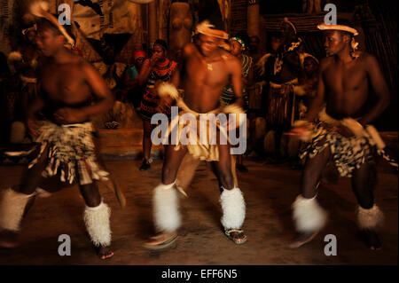 Les gens, les jeunes hommes adultes, la culture, les danseurs, la danse traditionnelle Zulu, Village à thème Shakaland, KwaZulu-Natal, Afrique du Sud, ethnique, mouvement, action Banque D'Images