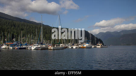 Voiliers ancrés dans un port de plaisance avec des montagnes contre un ciel bleu avec des nuages blancs. Deep Cove Marina dans North Vancouver Canada Banque D'Images