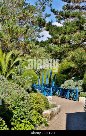 Jardins de l'abbaye de Tresco Îles Scilly ; UK Banque D'Images