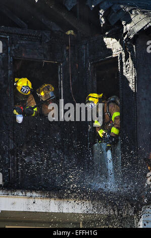 Les pompiers DFD en action, Detroit, Michigan, USA, octobre 2014. Banque D'Images