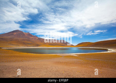 Laguna Miniques panorama. 4120 mt. Région de Antofagasta, Chili. Banque D'Images