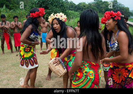 De la musique et de la danse dans le village des Indiens autochtones Embera tribu, Village, au Panama. Panama peuple Embera Indian Village Banque D'Images