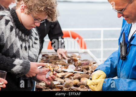Les gens de manger des fruits de mer, qui a été pris il y a quelques minutes, à bord d'un bateau en Breidafjordur, Islande. Banque D'Images