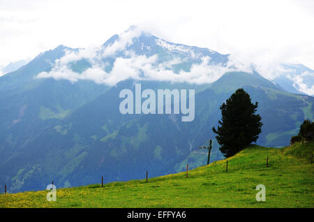 Penkenalm, Ahorn, montagnes Zillertal Tirol Autriche Banque D'Images