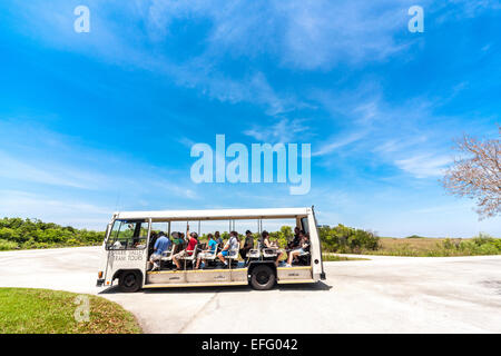 Shark Valley Visiteurs Everglades Tour Tram Parc National des Everglades en Floride US Banque D'Images