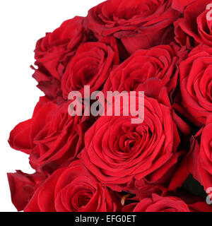 Donner un bouquet de roses rouges sur l'anniversaire, la saint valentin ou la fête des mères isolées Banque D'Images