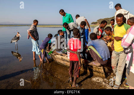 Des pêcheurs locaux arrivent avec les captures, le marché aux poissons, le lac de Hawassa, Éthiopie, Hawassa Banque D'Images