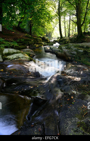 Cloghleagh cascade de la rivière pittoresque scène rurale d'sidelit irlandais le comté de Wicklow, Irlande RM éclairage latéral Banque D'Images