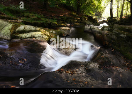 Cloghleagh cascade de la rivière pittoresque scène rurale d'sidelit irlandais le comté de Wicklow, Irlande RM éclairage latéral Banque D'Images