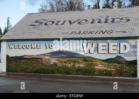 Bienvenue à signer des mauvaises herbes sur un magasin de souvenirs dans la ville de lutte contre les mauvaises herbes, en Californie, le comté de Siskiyou Banque D'Images