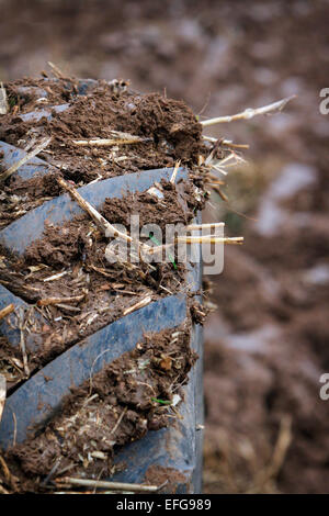 Le pneu du tracteur couverts dans la boue du sol au labour traditionnel, Close up Banque D'Images