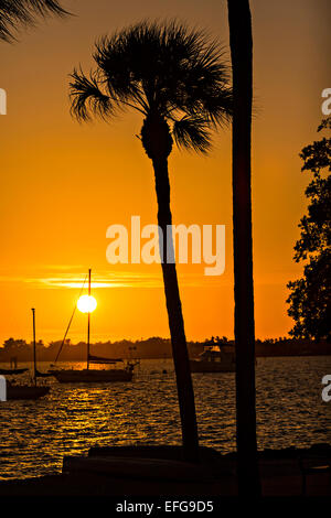 Coucher de Bayfront Park Sarasota, Floride Banque D'Images